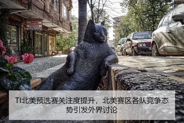 bei-mei-yu-xuan-sai-guan-zhu-du-ti-sheng-bei-mei-sai-qu-ge-dui-jing-zheng-tai-shi-yin-fa-wai-jie-tao-lun-2-791.jpg