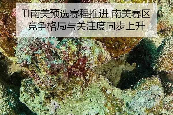 nan-mei-yu-xuan-sai-cheng-tui-jin-nan-mei-sai-qu-jing-zheng-ge-ju-yu-guan-zhu-du-tong-bu-shang-sheng-2-196.jpg
