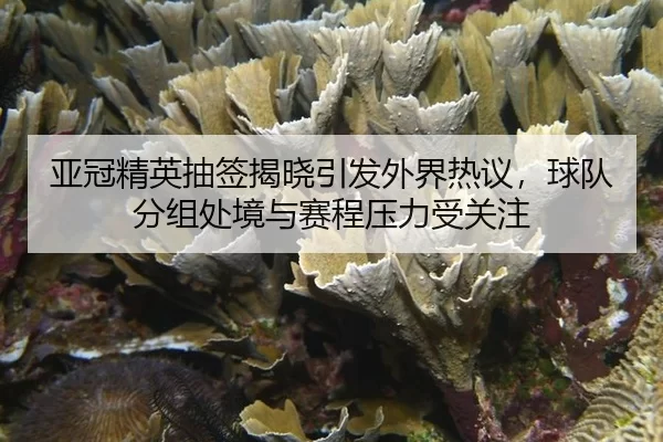 ya-guan-jing-ying-chou-qian-jie-xiao-yin-fa-wai-jie-re-yi-qiu-dui-fen-zu-chu-jing-yu-sai-cheng-ya-li-shou-guan-zhu-2-506.jpg